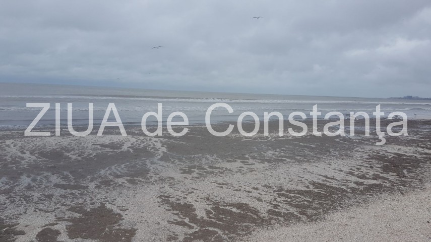 fenomen spectaculos la mamaia marea joaca alba neagra acum cateva zile acoperise plaja ieri se retrasese fenomen spectaculos la mamaia marea joaca alba neagra acum cateva zile acoperise plaja ieri se retrasese