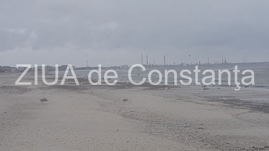 fenomen spectaculos la mamaia marea joaca alba neagra acum cateva zile acoperise plaja ieri se retrasese fenomen spectaculos la mamaia marea joaca alba neagra acum cateva zile acoperise plaja ieri se retrasese