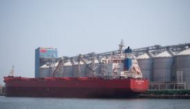 Chimpex a finalizat noul terminal de cereale cu o capacitate  de stocare de 200.000 tone  