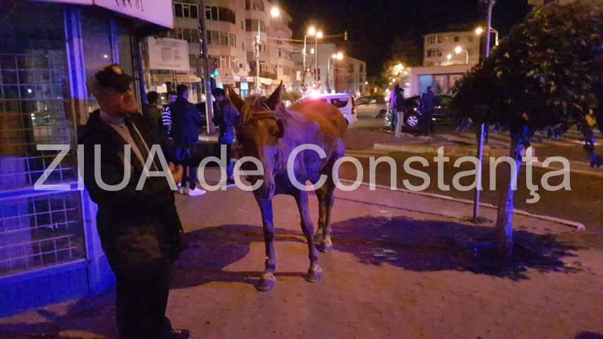 imagini de la eveniment accident rutier pe bulevardul tomis este implicata o caruta 641850 imagini de la eveniment accident rutier pe bulevardul tomis este implicata o caruta 641850