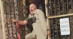 Funny video Animale la atac