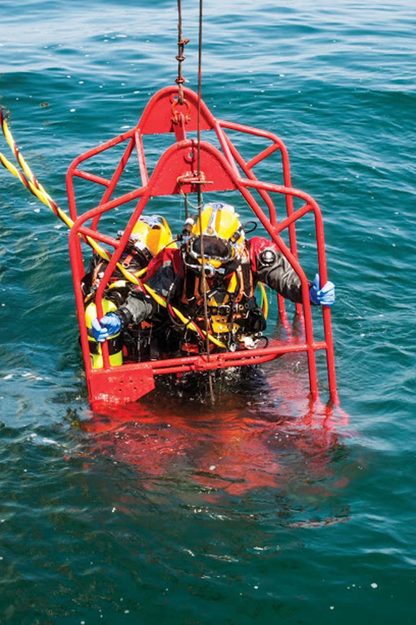 boala marii oameni din adancuri riscuri blazon reputatie galerie foto 644087 boala marii oameni din adancuri riscuri blazon reputatie galerie foto 644087