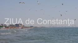 Pentru totdeauna - Irina Lucia Mihalca