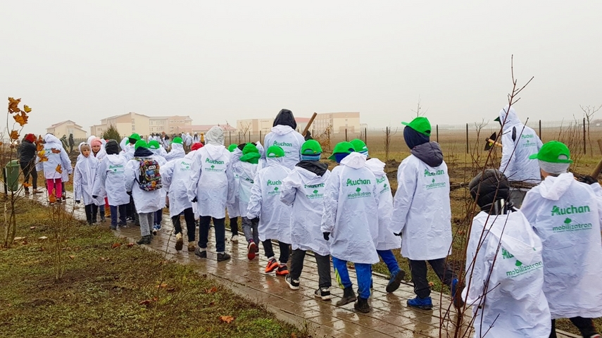 cumpana mai bogata cu 4 600 de pomi programele de plantare au in administratia publica locala un partener cumpana mai bogata cu 4 600 de pomi programele de plantare au in administratia publica locala un partener