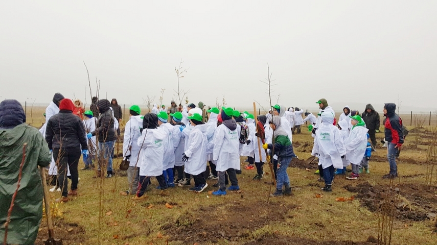 cumpana mai bogata cu 4 600 de pomi programele de plantare au in administratia publica locala un partener cumpana mai bogata cu 4 600 de pomi programele de plantare au in administratia publica locala un partener