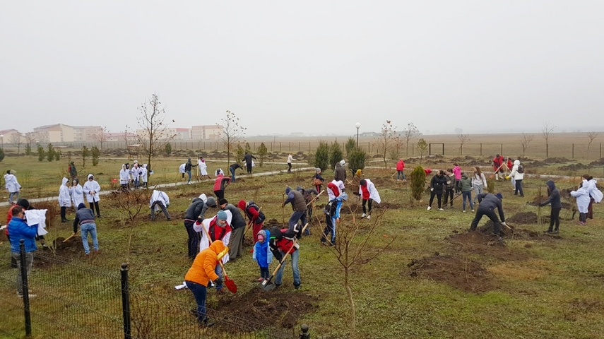 cumpana mai bogata cu 4 600 de pomi programele de plantare au in administratia publica locala un partener cumpana mai bogata cu 4 600 de pomi programele de plantare au in administratia publica locala un partener