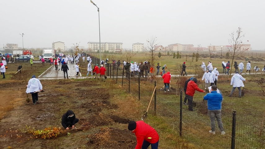 cumpana mai bogata cu 4 600 de pomi programele de plantare au in administratia publica locala un partener cumpana mai bogata cu 4 600 de pomi programele de plantare au in administratia publica locala un partener