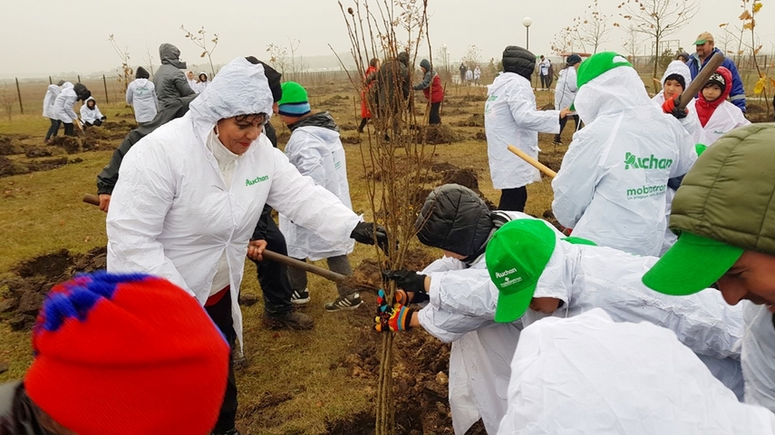 cumpana mai bogata cu 4 600 de pomi programele de plantare au in administratia publica locala un partener cumpana mai bogata cu 4 600 de pomi programele de plantare au in administratia publica locala un partener
