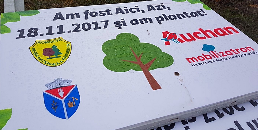 cumpana mai bogata cu 4 600 de pomi programele de plantare au in administratia publica locala un partener cumpana mai bogata cu 4 600 de pomi programele de plantare au in administratia publica locala un partener