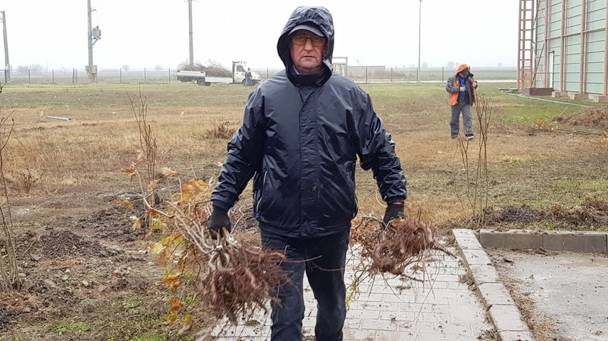 cumpana mai bogata cu 4 600 de pomi programele de plantare au in administratia publica locala un partener cumpana mai bogata cu 4 600 de pomi programele de plantare au in administratia publica locala un partener