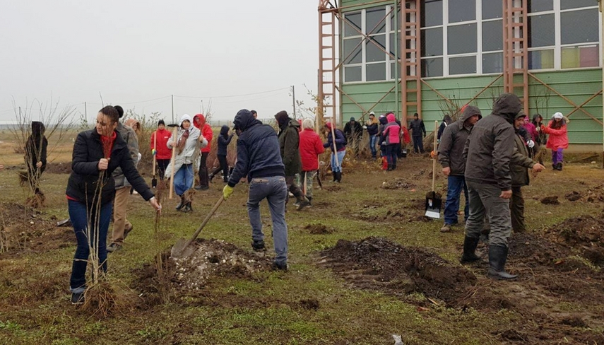 cumpana mai bogata cu 4 600 de pomi programele de plantare au in administratia publica locala un partener cumpana mai bogata cu 4 600 de pomi programele de plantare au in administratia publica locala un partener