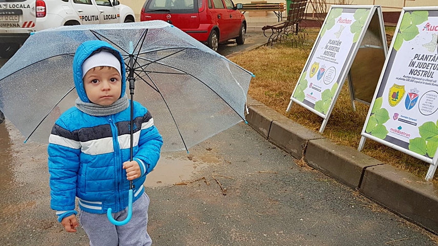 cumpana mai bogata cu 4 600 de pomi programele de plantare au in administratia publica locala un partener cumpana mai bogata cu 4 600 de pomi programele de plantare au in administratia publica locala un partener