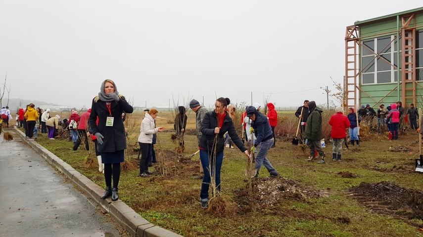 cumpana mai bogata cu 4 600 de pomi programele de plantare au in administratia publica locala un partener cumpana mai bogata cu 4 600 de pomi programele de plantare au in administratia publica locala un partener