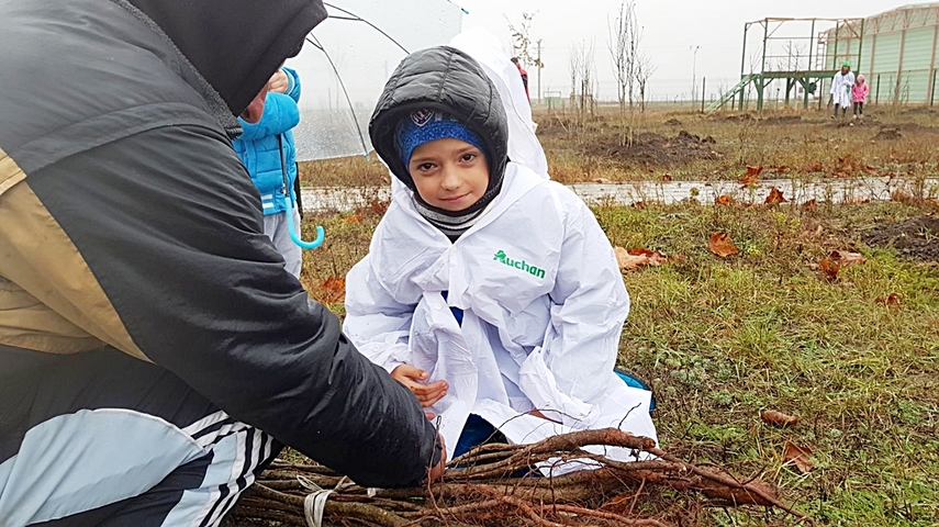 cumpana mai bogata cu 4 600 de pomi programele de plantare au in administratia publica locala un partener cumpana mai bogata cu 4 600 de pomi programele de plantare au in administratia publica locala un partener