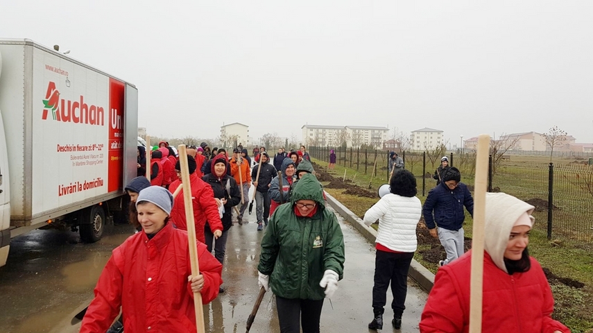 cumpana mai bogata cu 4 600 de pomi programele de plantare au in administratia publica locala un partener cumpana mai bogata cu 4 600 de pomi programele de plantare au in administratia publica locala un partener
