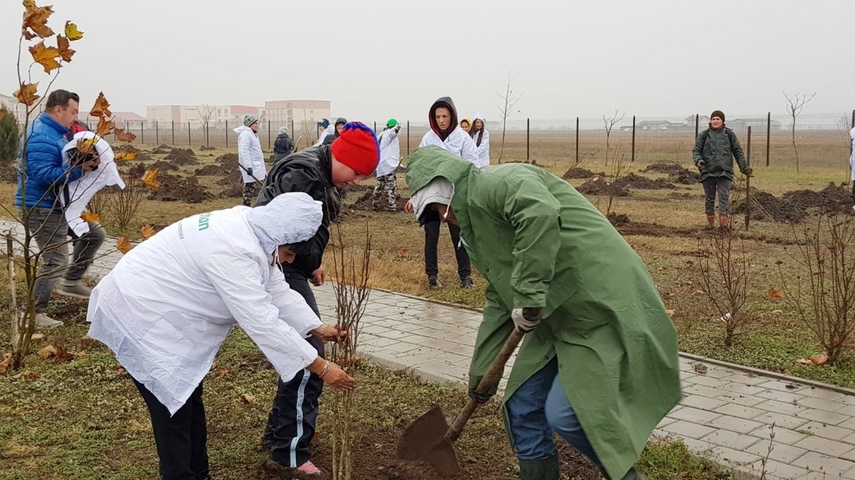 cumpana mai bogata cu 4 600 de pomi programele de plantare au in administratia publica locala un partener cumpana mai bogata cu 4 600 de pomi programele de plantare au in administratia publica locala un partener