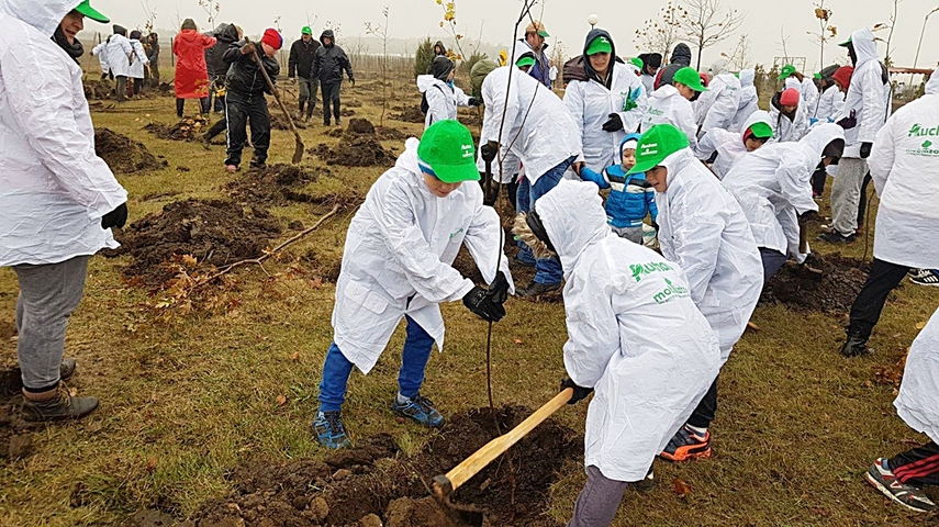 cumpana mai bogata cu 4 600 de pomi programele de plantare au in administratia publica locala un partener cumpana mai bogata cu 4 600 de pomi programele de plantare au in administratia publica locala un partener