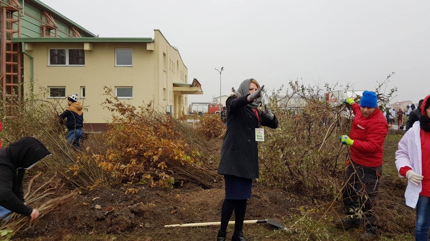cumpana mai bogata cu 4 600 de pomi programele de plantare au in administratia publica locala un partener cumpana mai bogata cu 4 600 de pomi programele de plantare au in administratia publica locala un partener