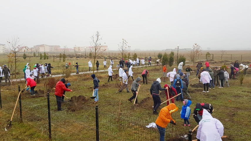 cumpana mai bogata cu 4 600 de pomi programele de plantare au in administratia publica locala un partener cumpana mai bogata cu 4 600 de pomi programele de plantare au in administratia publica locala un partener