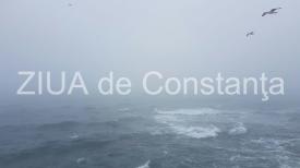 centrulnatura.ro BOALA TIMPULUI  