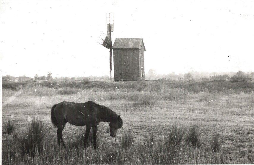 calatori straini prin dobrogea clxv ferdinand quesnoy franta galerie foto 646024 calatori straini prin dobrogea clxv ferdinand quesnoy franta galerie foto 646024