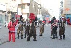 Fotoreportaj Mai mulţi urşi şi moşi Crăciuni, surprinşi, azi în centrul municipiului Constanţa (galerie foto) 