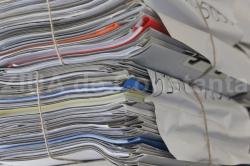 Firme Constanţa, rezultate financiare PNP Impex, cifră de afaceri mai mică, profit mai mare, față de anul de referință anterior (document)