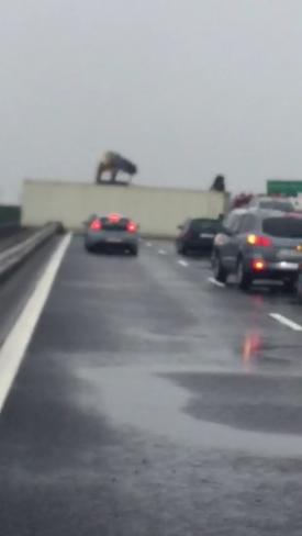 Numai la noi se poate așa ceva Bizarerii în județele Constanța și Tulcea pe timp de Cod Portocaliu. Te-ar pufni râsul de n-ar fi de plâns 