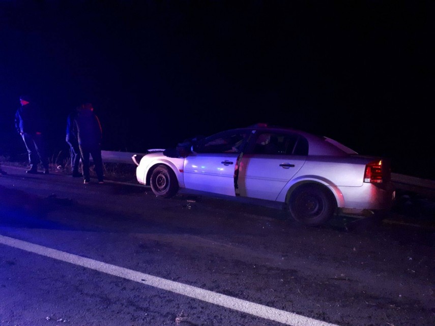 accident rutier pe dn22 tulcea constanta doi cai dezlegati au intrat pe sosea unul dintre animale lovit accident rutier pe dn22 tulcea constanta doi cai dezlegati au intrat pe sosea unul dintre animale lovit