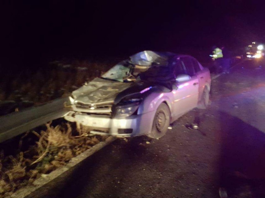 accident rutier pe dn22 tulcea constanta doi cai dezlegati au intrat pe sosea unul dintre animale lovit accident rutier pe dn22 tulcea constanta doi cai dezlegati au intrat pe sosea unul dintre animale lovit