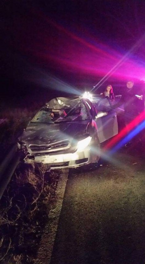 accident rutier pe dn22 tulcea constanta doi cai dezlegati au intrat pe sosea unul dintre animale lovit accident rutier pe dn22 tulcea constanta doi cai dezlegati au intrat pe sosea unul dintre animale lovit