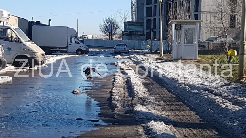 atentie soferi de aproape o saptamana nu a mai nins la constanta dar in portul tomis drumul este acoperit atentie soferi de aproape o saptamana nu a mai nins la constanta dar in portul tomis drumul este acoperit