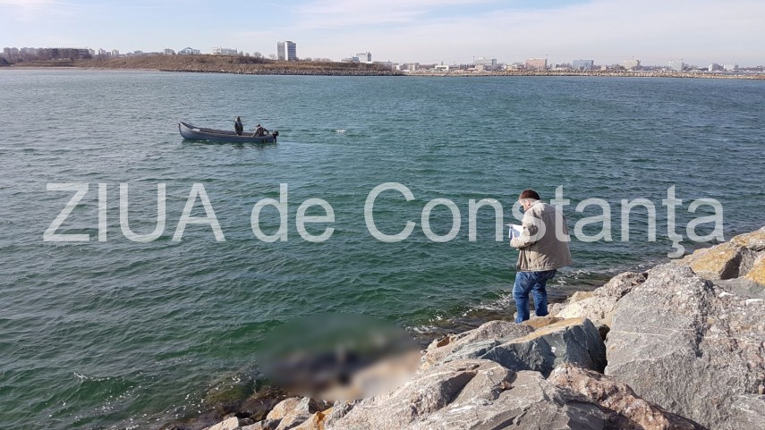 update imagini de la eveniment descoperire macabra in zona pescarie din constanta o persoana a fost gasita update imagini de la eveniment descoperire macabra in zona pescarie din constanta o persoana a fost gasita