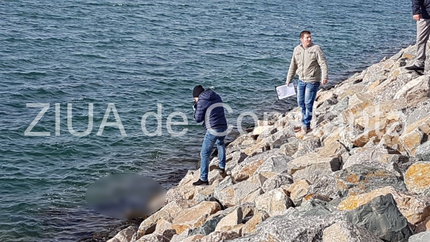 update imagini de la eveniment descoperire macabra in zona pescarie din constanta o persoana a fost gasita update imagini de la eveniment descoperire macabra in zona pescarie din constanta o persoana a fost gasita