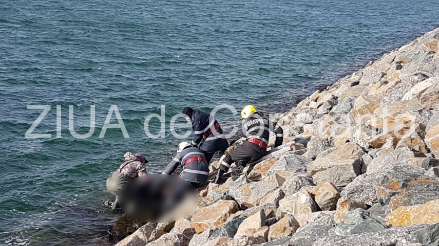 update imagini de la eveniment descoperire macabra in zona pescarie din constanta o persoana a fost gasita update imagini de la eveniment descoperire macabra in zona pescarie din constanta o persoana a fost gasita