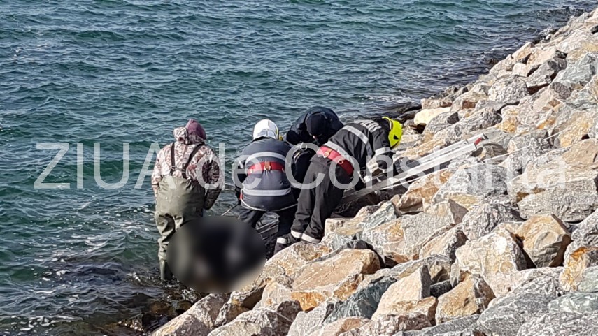 update imagini de la eveniment descoperire macabra in zona pescarie din constanta o persoana a fost gasita update imagini de la eveniment descoperire macabra in zona pescarie din constanta o persoana a fost gasita