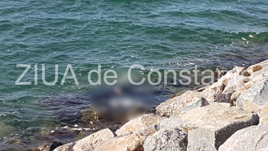 update imagini de la eveniment descoperire macabra in zona pescarie din constanta o persoana a fost gasita update imagini de la eveniment descoperire macabra in zona pescarie din constanta o persoana a fost gasita