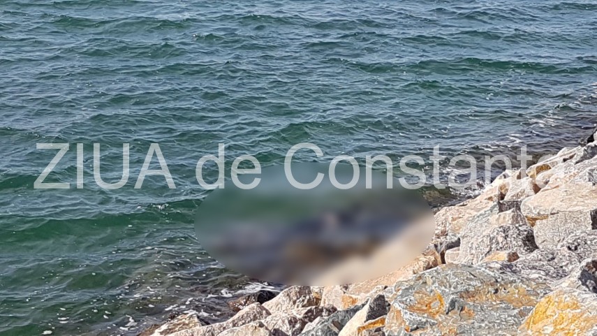 update imagini de la eveniment descoperire macabra in zona pescarie din constanta o persoana a fost gasita update imagini de la eveniment descoperire macabra in zona pescarie din constanta o persoana a fost gasita