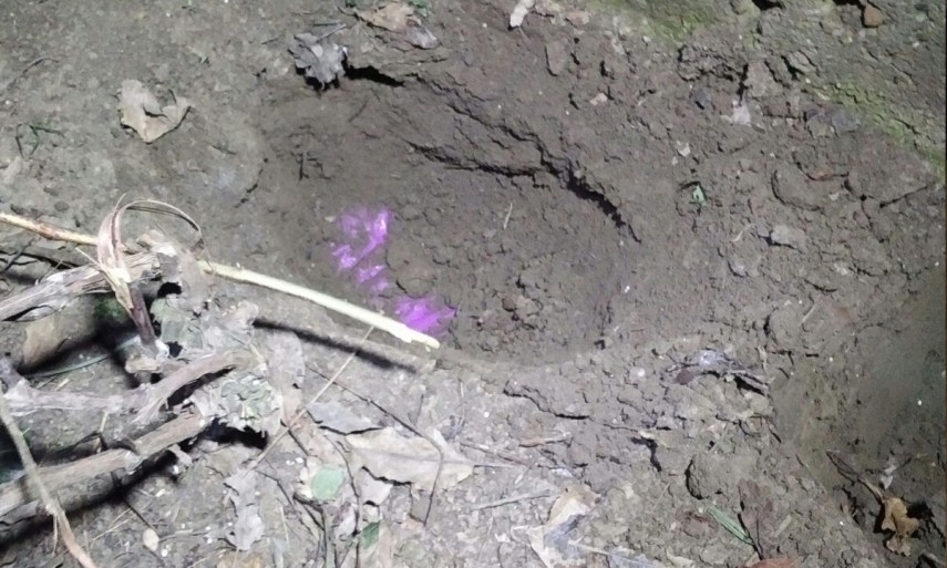 caz incredibil in judetul constanta o suma impresionanta de bani gasita ingropata in gradina unui suspect caz incredibil in judetul constanta o suma impresionanta de bani gasita ingropata in gradina unui suspect