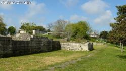 Callatis şi callatienii în izvoarele istorice scrise (I) 