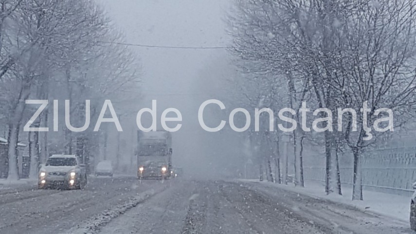 fotoreportaj ninsoare si vizibilitate redusa pe durmurile din constanta se circula in conditii de iarna fotoreportaj ninsoare si vizibilitate redusa pe durmurile din constanta se circula in conditii de iarna
