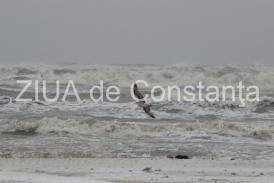 Vești proaste în legătură cu toate cele patru porturi maritime de la Marea Neagră