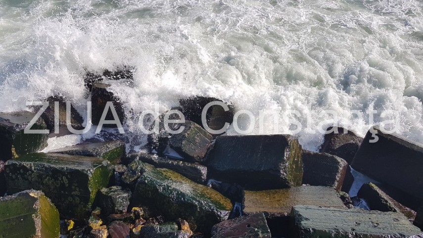 imagini live de la eveniment vreme de primavara la constanta soare si temperaturi crescute galerie foto imagini live de la eveniment vreme de primavara la constanta soare si temperaturi crescute galerie foto