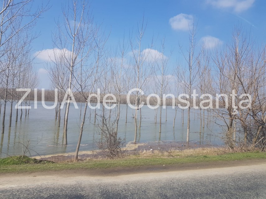 nivelul dunarii in continua crestere probleme sunt in zona localitatilor rasova si seimeni judetul constanta nivelul dunarii in continua crestere probleme sunt in zona localitatilor rasova si seimeni judetul constanta