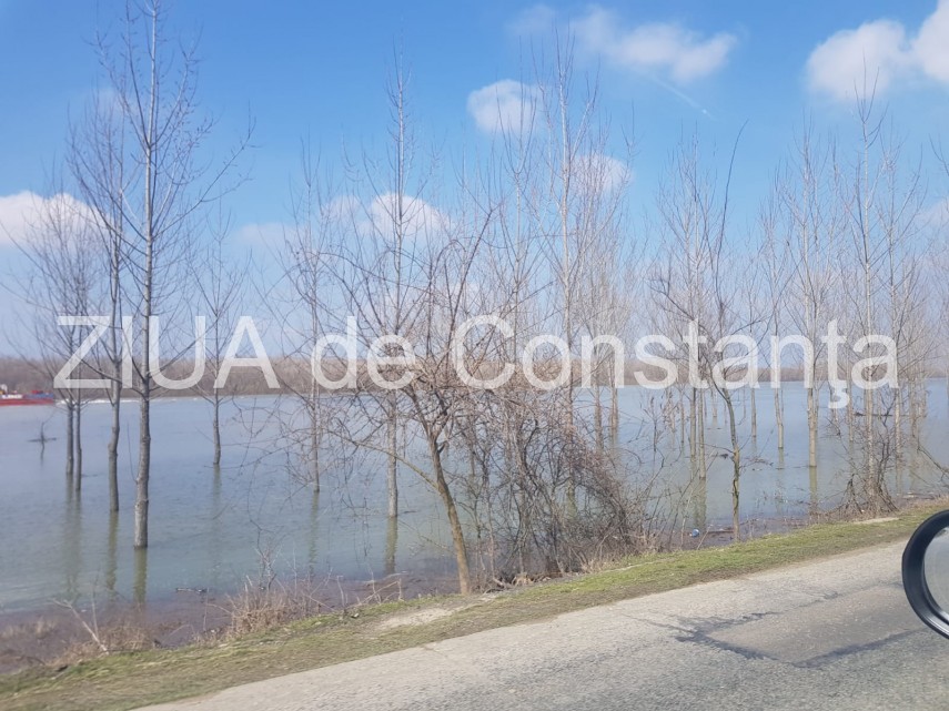 nivelul dunarii in continua crestere probleme sunt in zona localitatilor rasova si seimeni judetul constanta nivelul dunarii in continua crestere probleme sunt in zona localitatilor rasova si seimeni judetul constanta