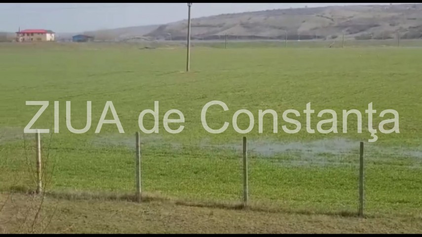 nivelul dunarii in continua crestere probleme sunt in zona localitatilor rasova si seimeni judetul constanta nivelul dunarii in continua crestere probleme sunt in zona localitatilor rasova si seimeni judetul constanta