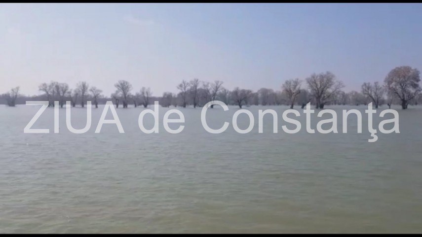 nivelul dunarii in continua crestere probleme sunt in zona localitatilor rasova si seimeni judetul constanta nivelul dunarii in continua crestere probleme sunt in zona localitatilor rasova si seimeni judetul constanta