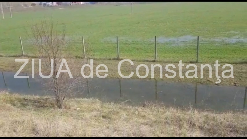 nivelul dunarii in continua crestere probleme sunt in zona localitatilor rasova si seimeni judetul constanta nivelul dunarii in continua crestere probleme sunt in zona localitatilor rasova si seimeni judetul constanta