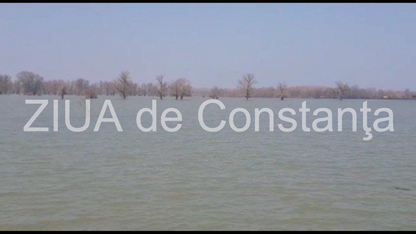 nivelul dunarii in continua crestere probleme sunt in zona localitatilor rasova si seimeni judetul constanta nivelul dunarii in continua crestere probleme sunt in zona localitatilor rasova si seimeni judetul constanta