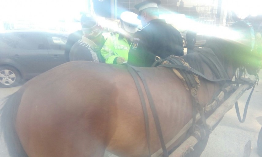 campanie de ecologizare la constanta tone de gunoaie si deseuri adunate in cadrul campaniei organizate campanie de ecologizare la constanta tone de gunoaie si deseuri adunate in cadrul campaniei organizate